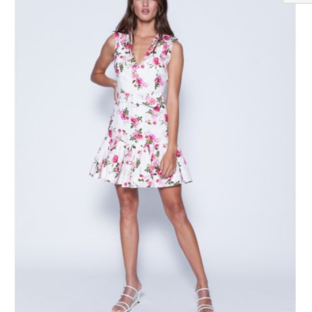 Karina Grimaldi Susi Floral Print Mini Dress